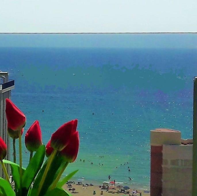 Mirador Calpe