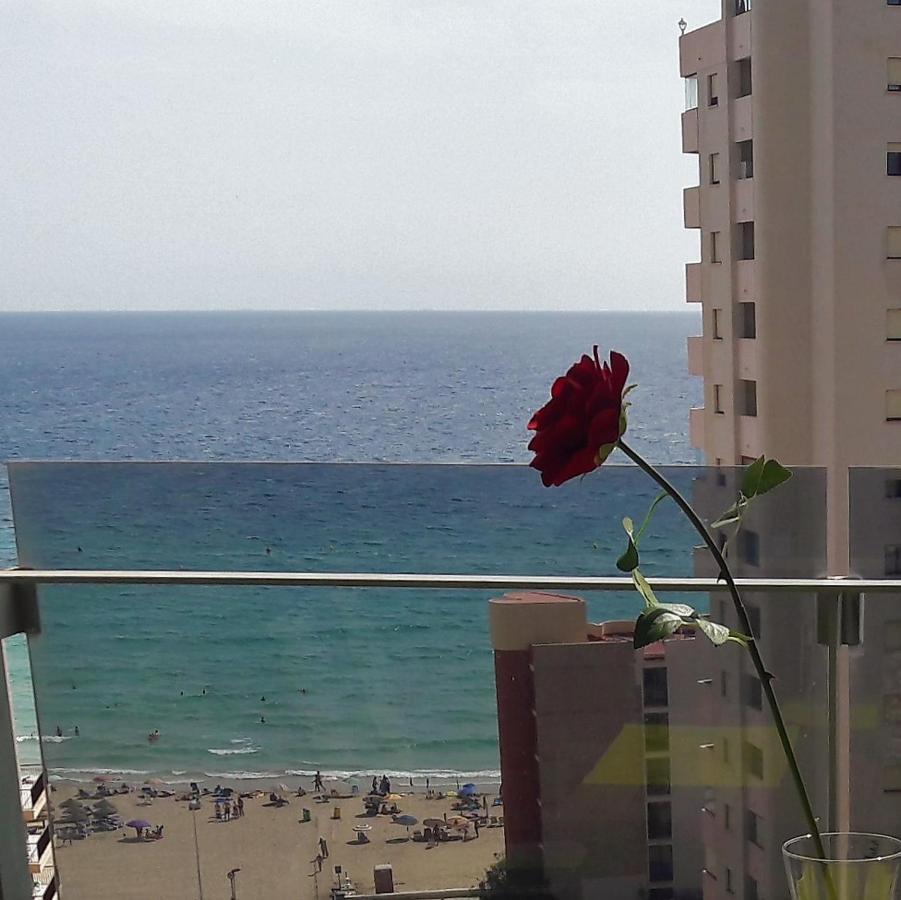 Mirador Apartment *